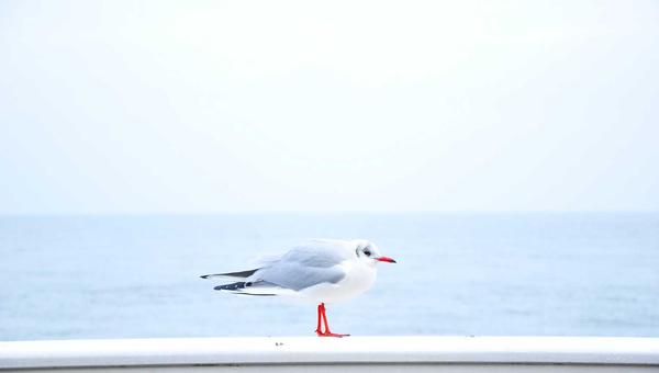 篮球趣闻